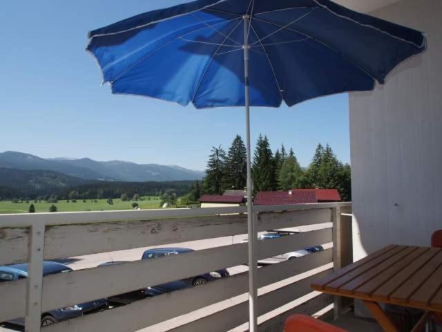 Perfect Day Apartment Bad Mitterndorf Exterior foto